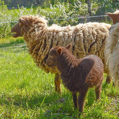 Agriturismo Vezzano 丘西-德拉弗娜 外观 照片