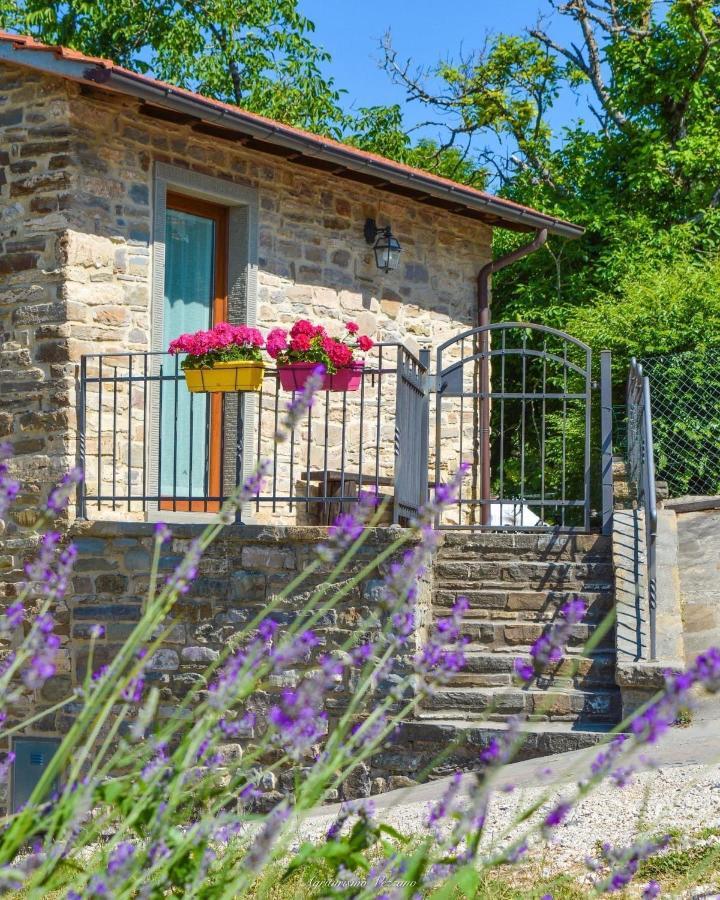 Agriturismo Vezzano 丘西-德拉弗娜 外观 照片