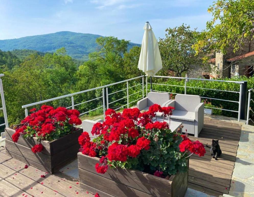 Agriturismo Vezzano 丘西-德拉弗娜 外观 照片