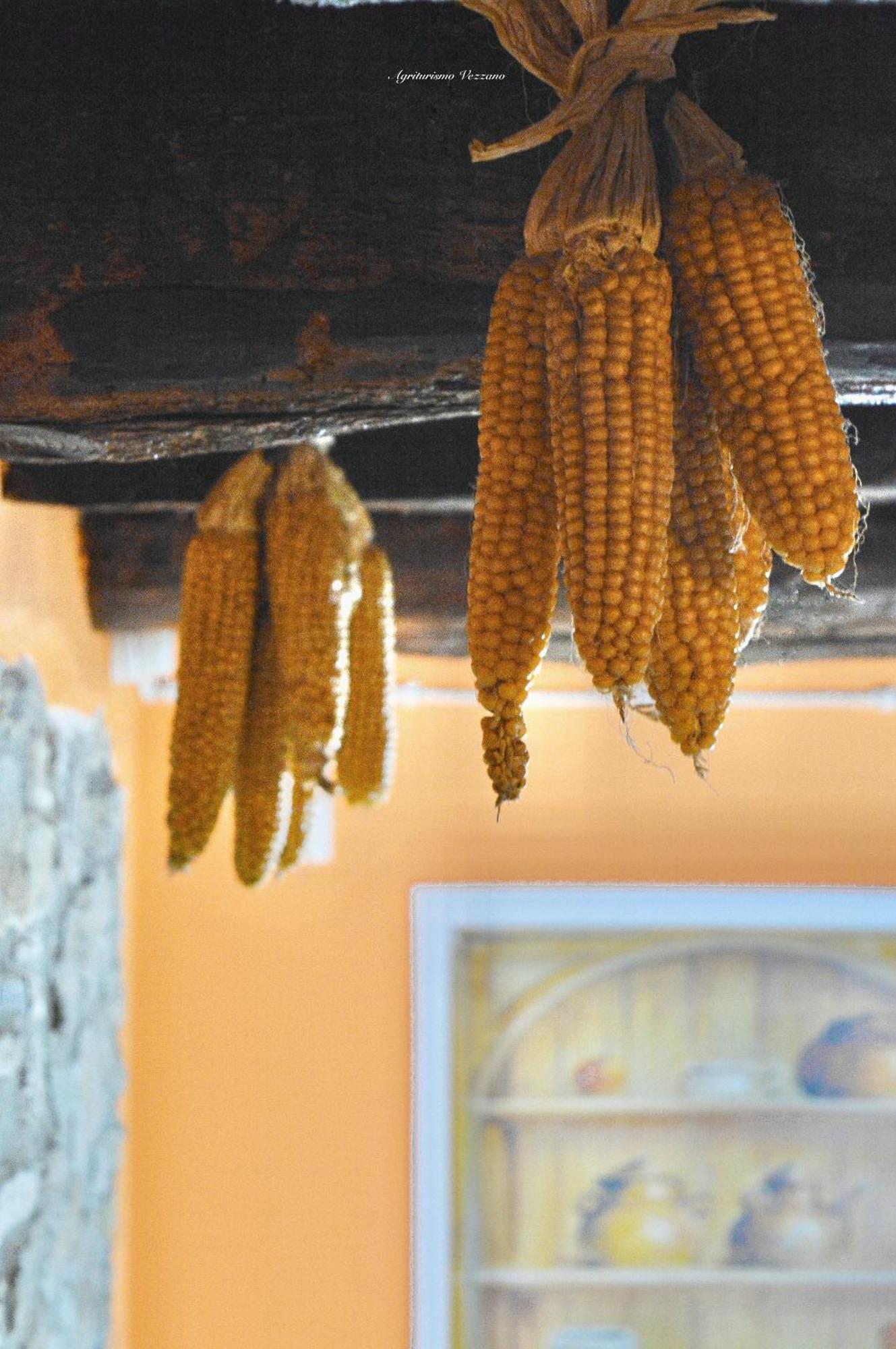 Agriturismo Vezzano 丘西-德拉弗娜 客房 照片